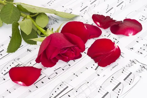 五线谱背景玫瑰花图片