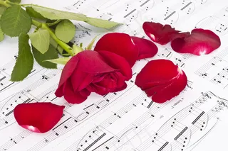 五线谱背景玫瑰花图片