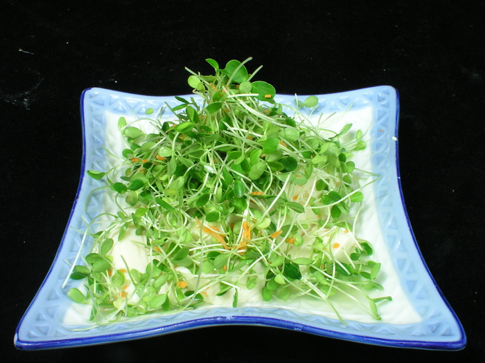 0690香椿苗拌豆腐.JPG