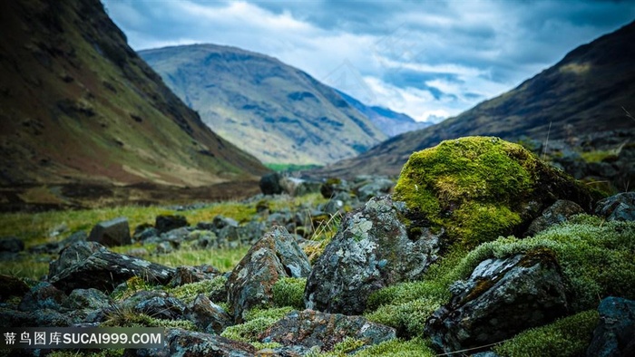 山峦山林风景画壁纸