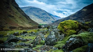 山峦山林风景画壁纸