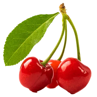 樱桃水果超市商品白底图免抠实物摄影png格式图片透明底