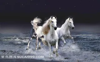 沙滩上奔跑的马群高清图
