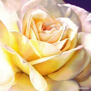 高清牡丹花油画