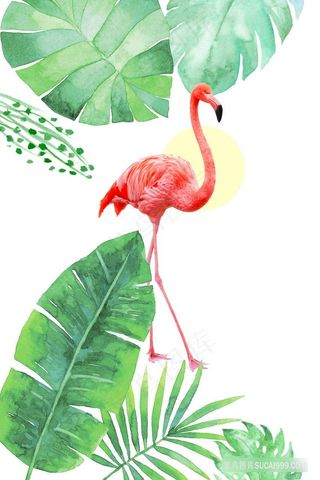 水彩火烈鸟绿叶植物插画