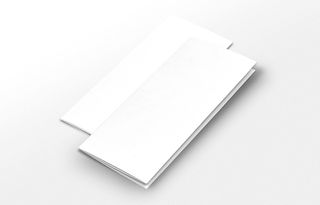 三折页宣传样机