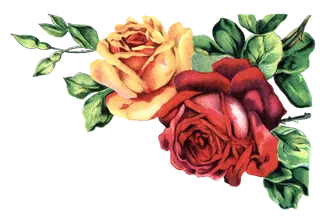 古典花卉png免扣素材