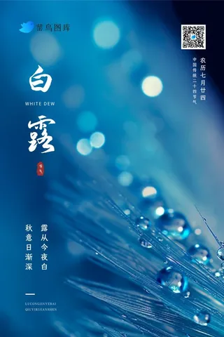白露蓝色清新羽毛露珠节气海报