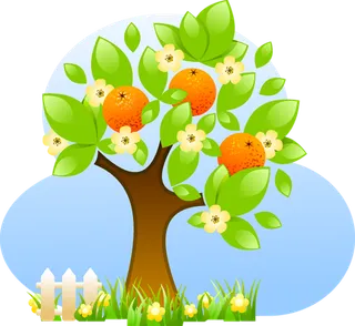 苹果树现代农业