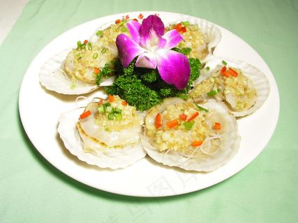 1497蒜茸粉丝蒸扇贝 1497蒜茸粉丝蒸扇贝