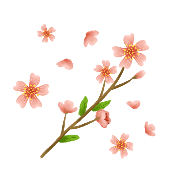 春天浪漫粉红色樱花手绘樱花梅花桃花花朵图片PNG免扣素材