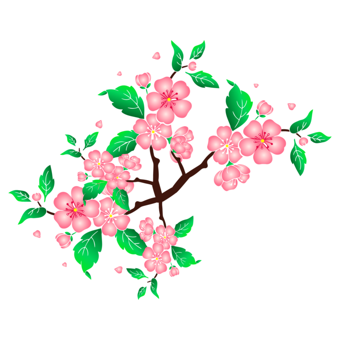 春天浪漫粉红色樱花手绘樱花梅花桃花花朵图片PNG免扣素材