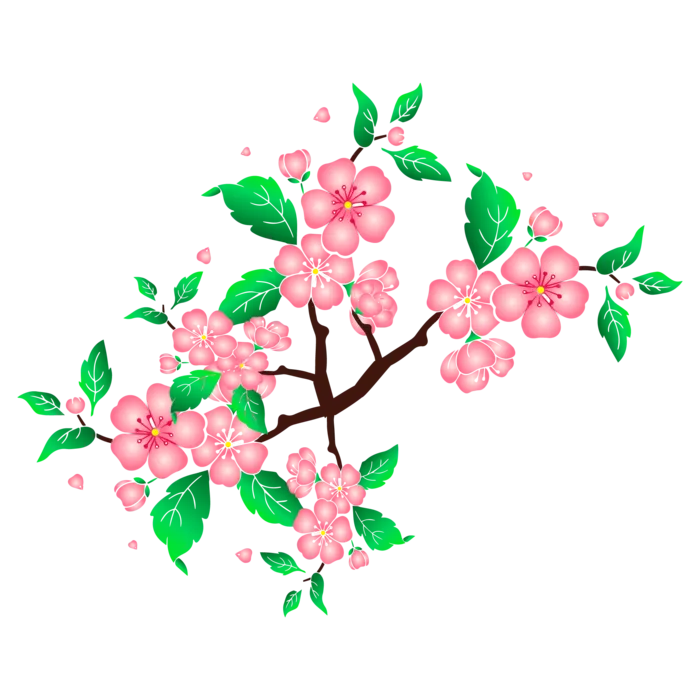 春天浪漫粉红色樱花手绘樱花梅花桃花花朵图片PNG免扣素材