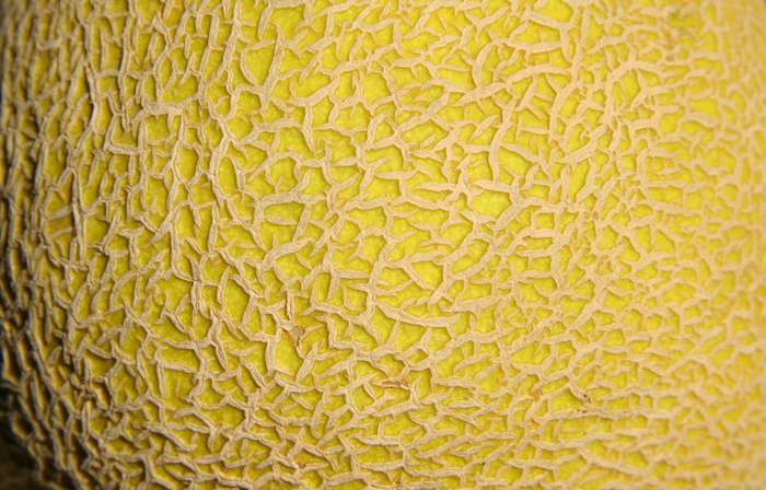 水果纹理背景图片