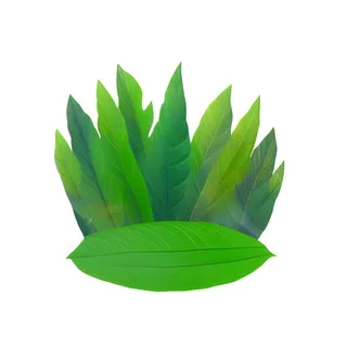 叶子绿叶树叶免抠