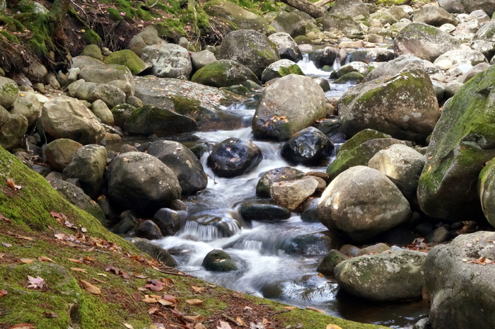 山间溪流水图片