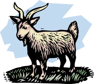 黑白山羊卡通简笔