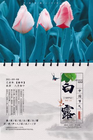 创意中国风白露节传统节气海报