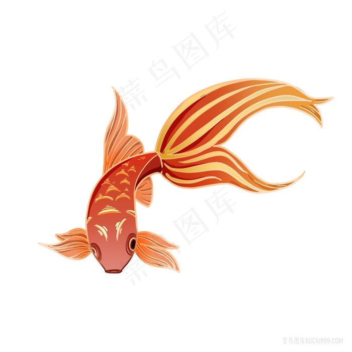白底锦鲤png卡通图片