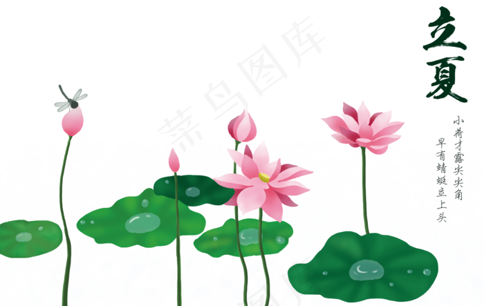 立夏节气免抠png 