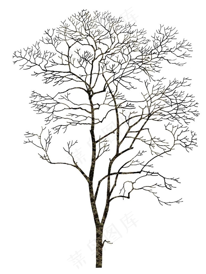 树木设计矢量图片