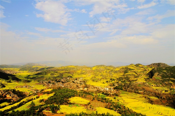 山村的田野梯田风景高清图片