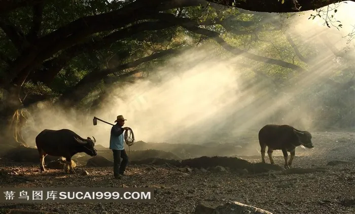 福建淳朴的杨家溪人文风景素材