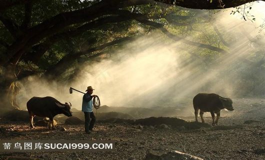福建淳朴的杨家溪人文风景素材