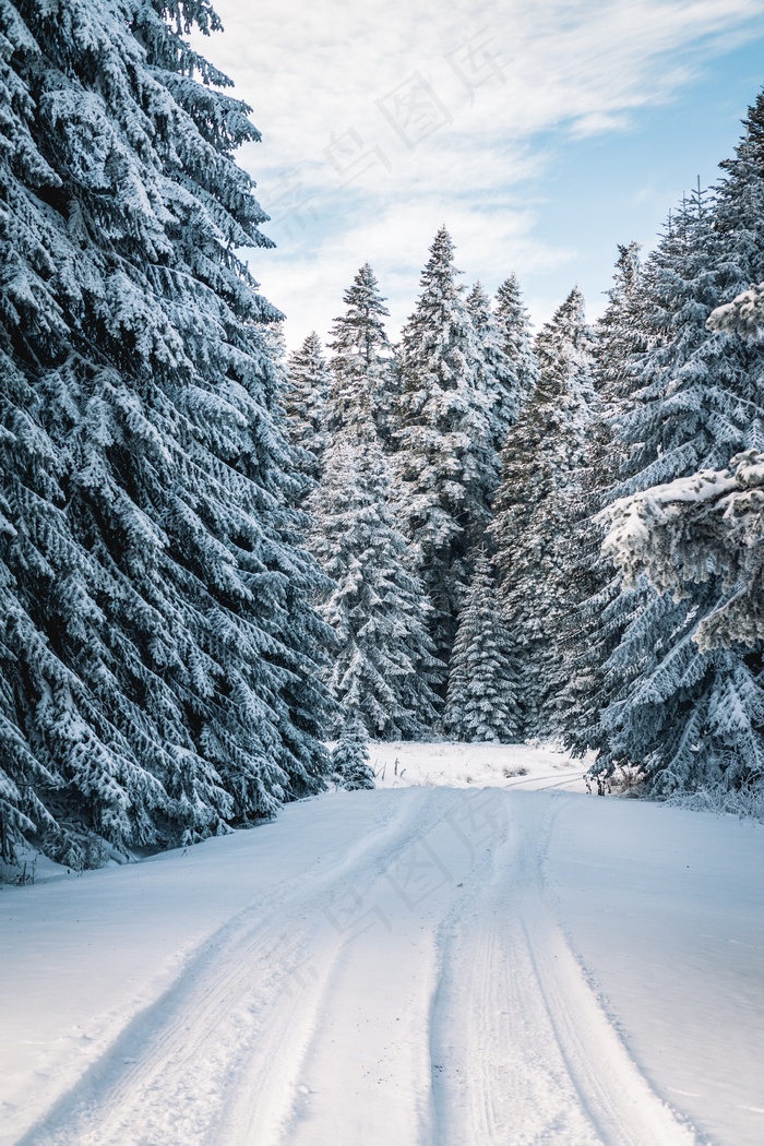 冬天的雪景图片