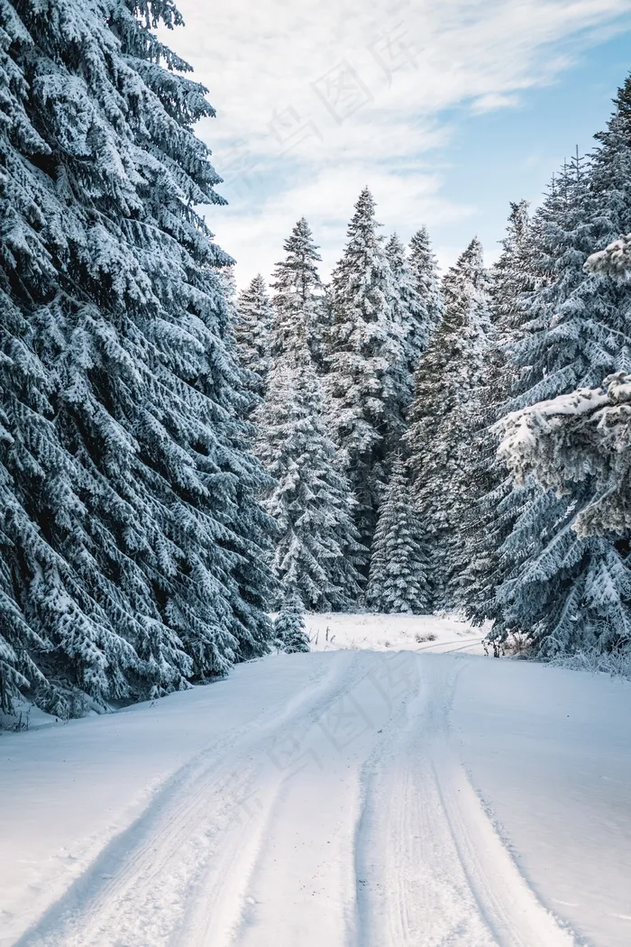 冬天的雪景图片