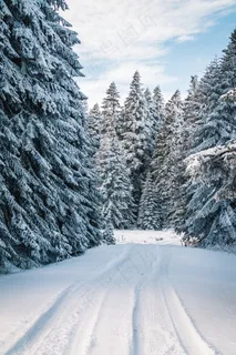 冬天的雪景图片