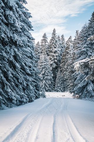 冬天的雪景图片