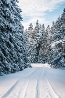 冬天的雪景图片 冬天的雪景图片