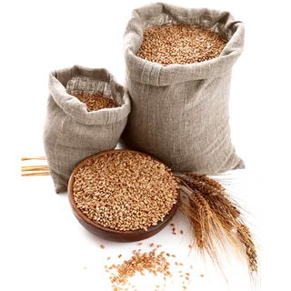 谷物粮食小麦素材免扣