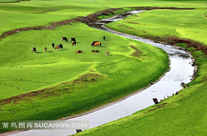 曲水绿荫草原摄影风景图片