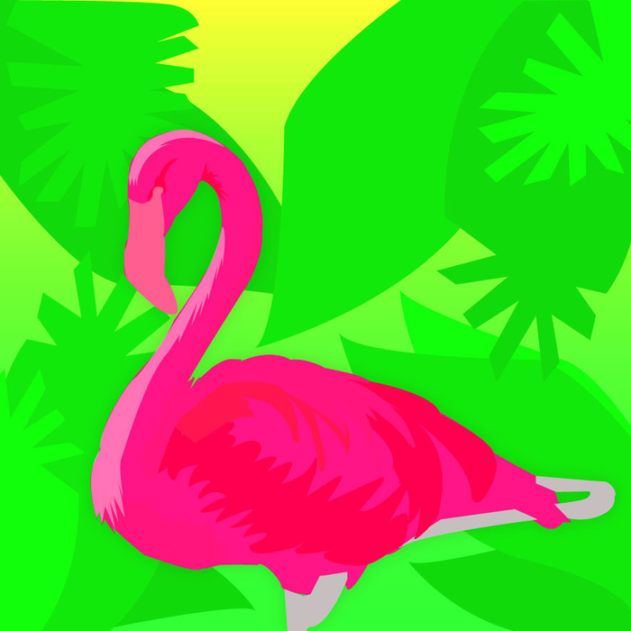 火烈鸟插图ai矢量模版下载