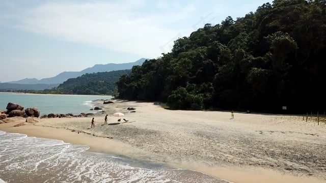 航班, 景观, 海滩, 自然, 女孩, 女士