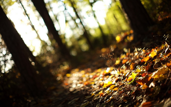 图片素材背景怀旧效果