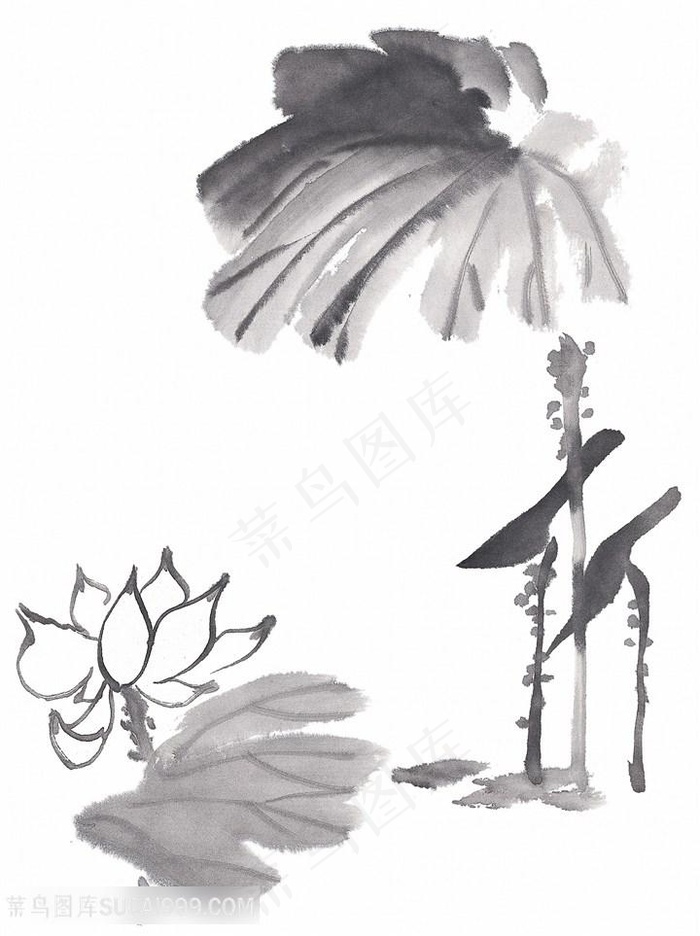 高清水墨画艺术画荷花