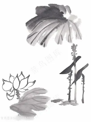 高清水墨画艺术画荷花