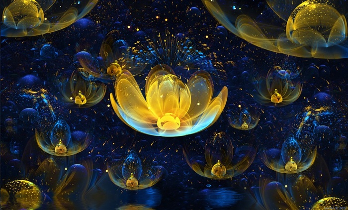 华丽的花朵图片