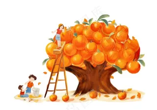 秋季爬梯摘水果的女孩橘子插画免抠
