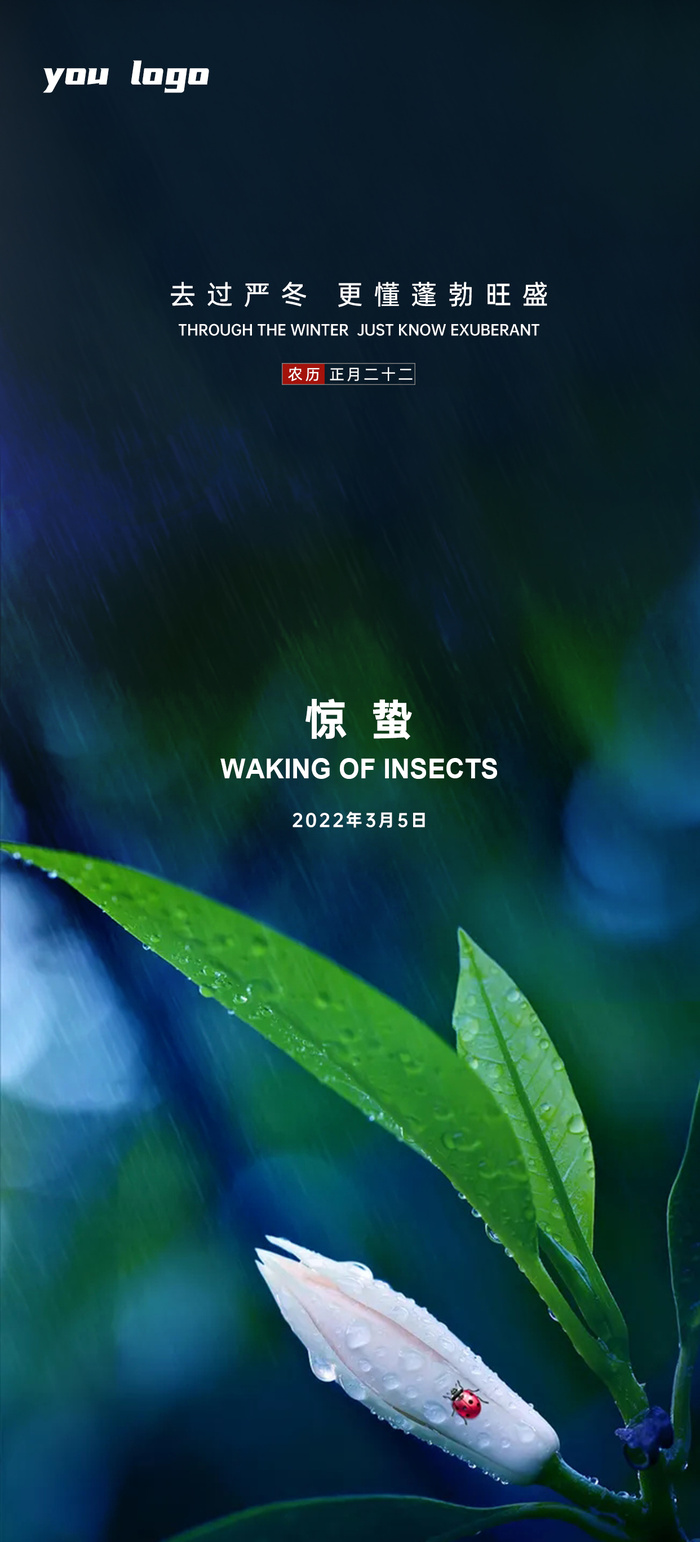 惊蛰节气海报设计PSD素材