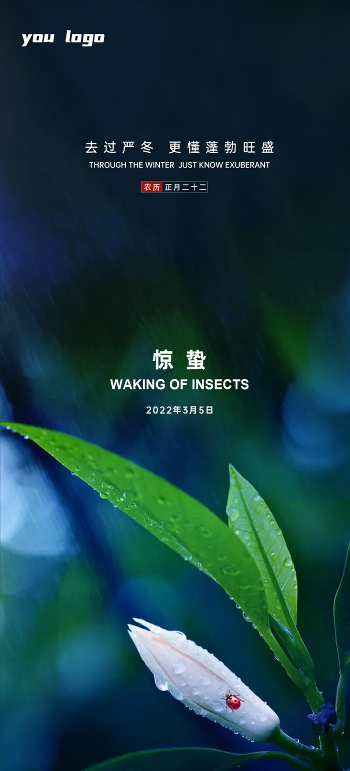 惊蛰节气海报设计PSD素材psd模版下载