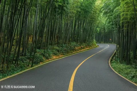 蜀南竹海林间公路