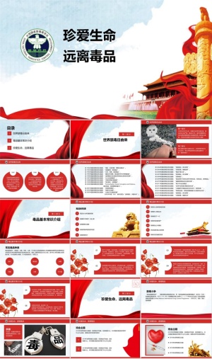 禁毒宣传PPT模板ppt模版预览图