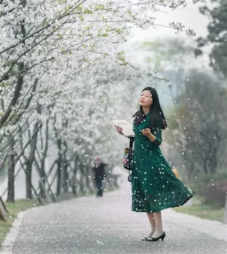 路边读书的女孩