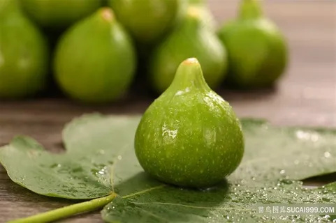 新鲜美味的无花果 新鲜美味的无花果
