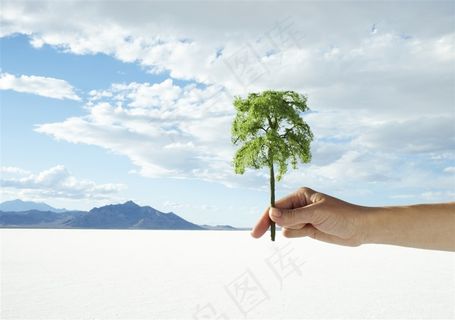 白云下拿着树的手