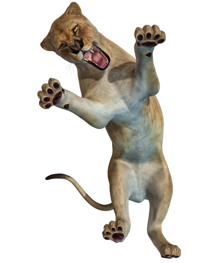 狮子动物园动物森林野生设计素材